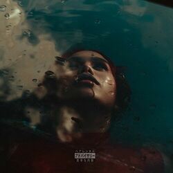Cover of Revenge Season