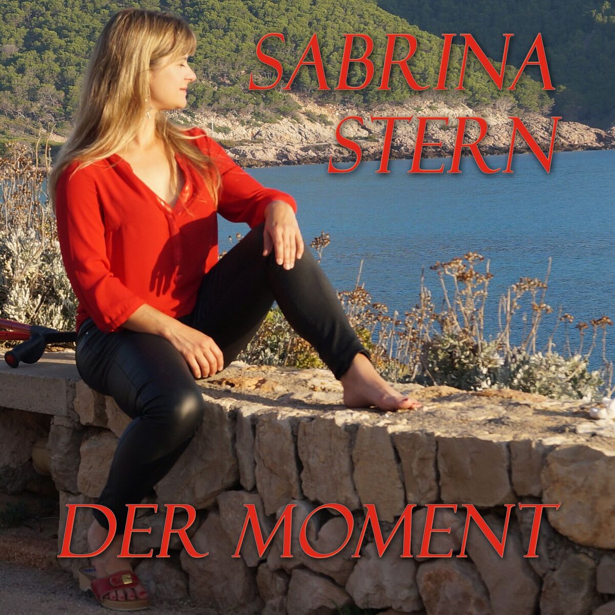 Album cover of Der Moment