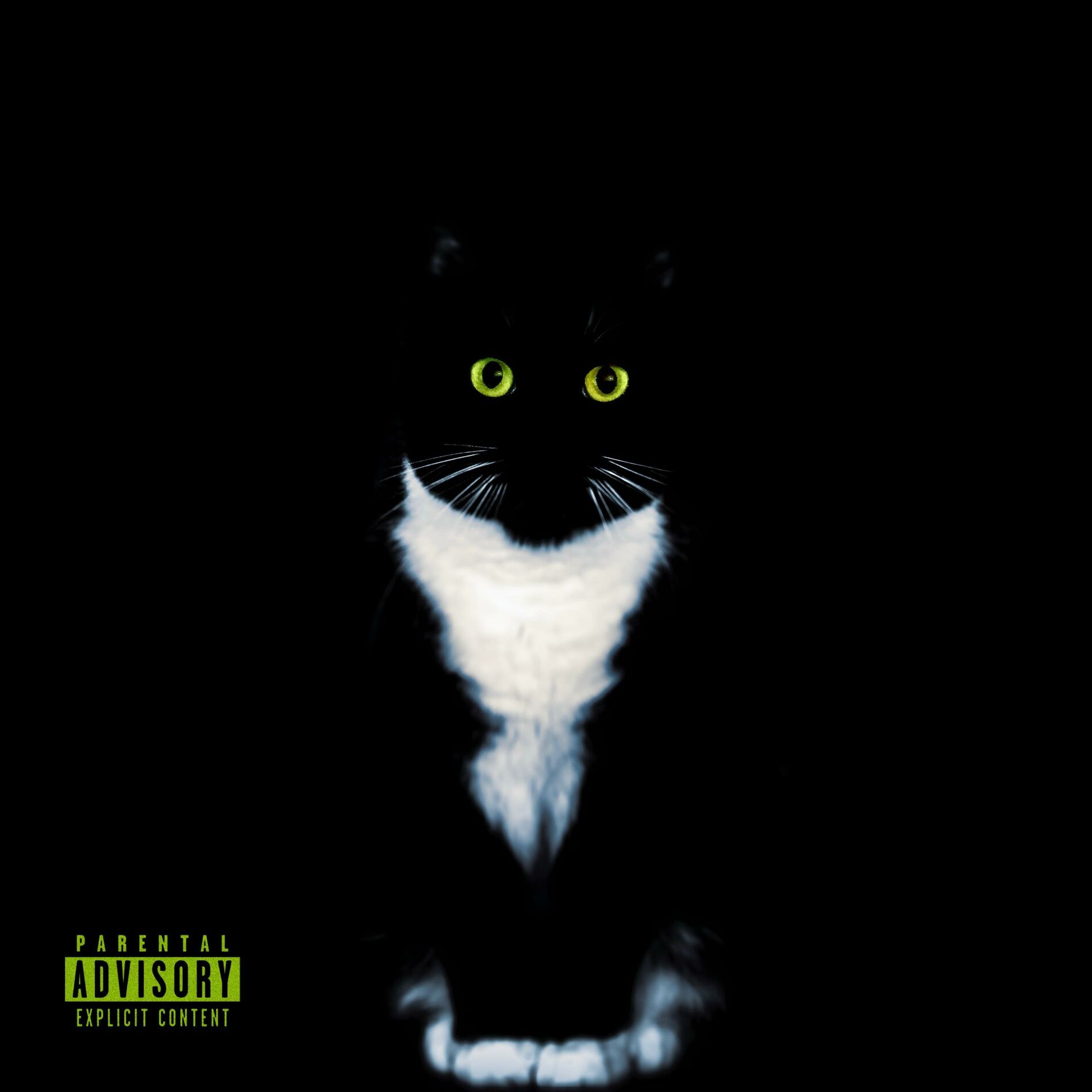 Album cover of Discipline