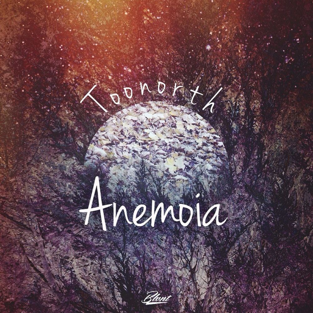 Picture of Anemoia