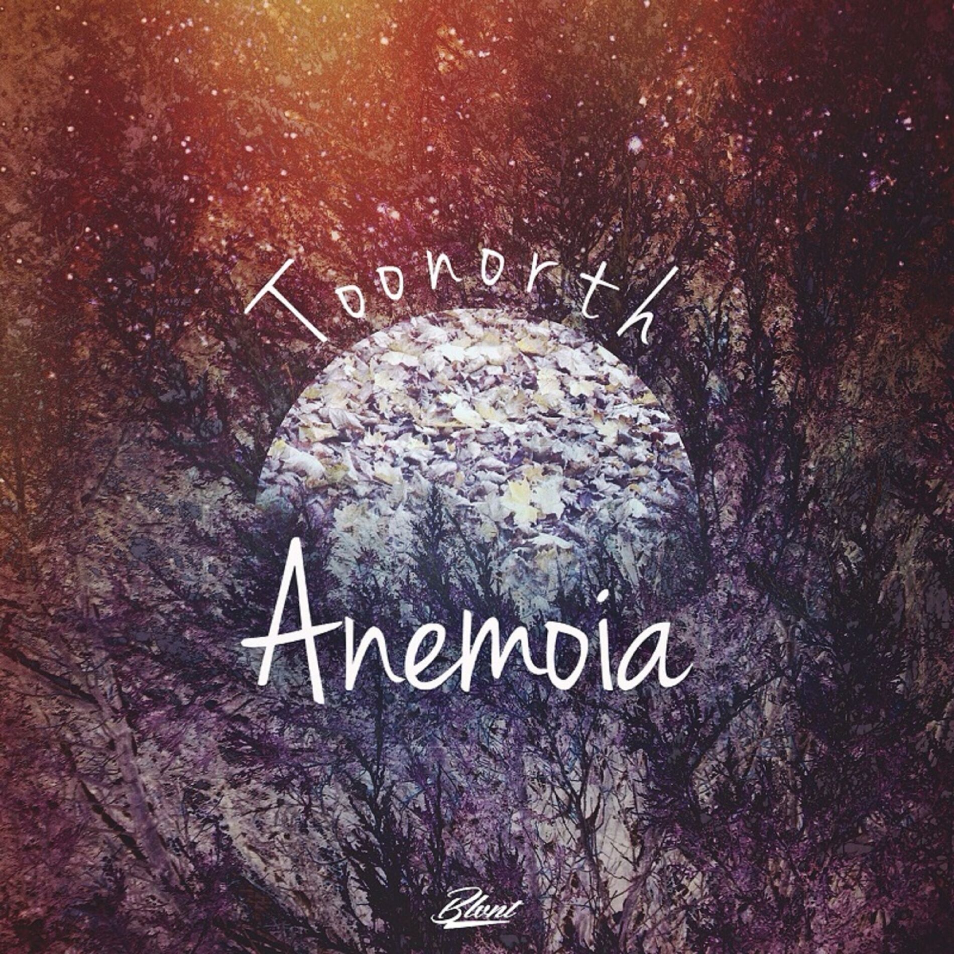 Album cover of Anemoia
