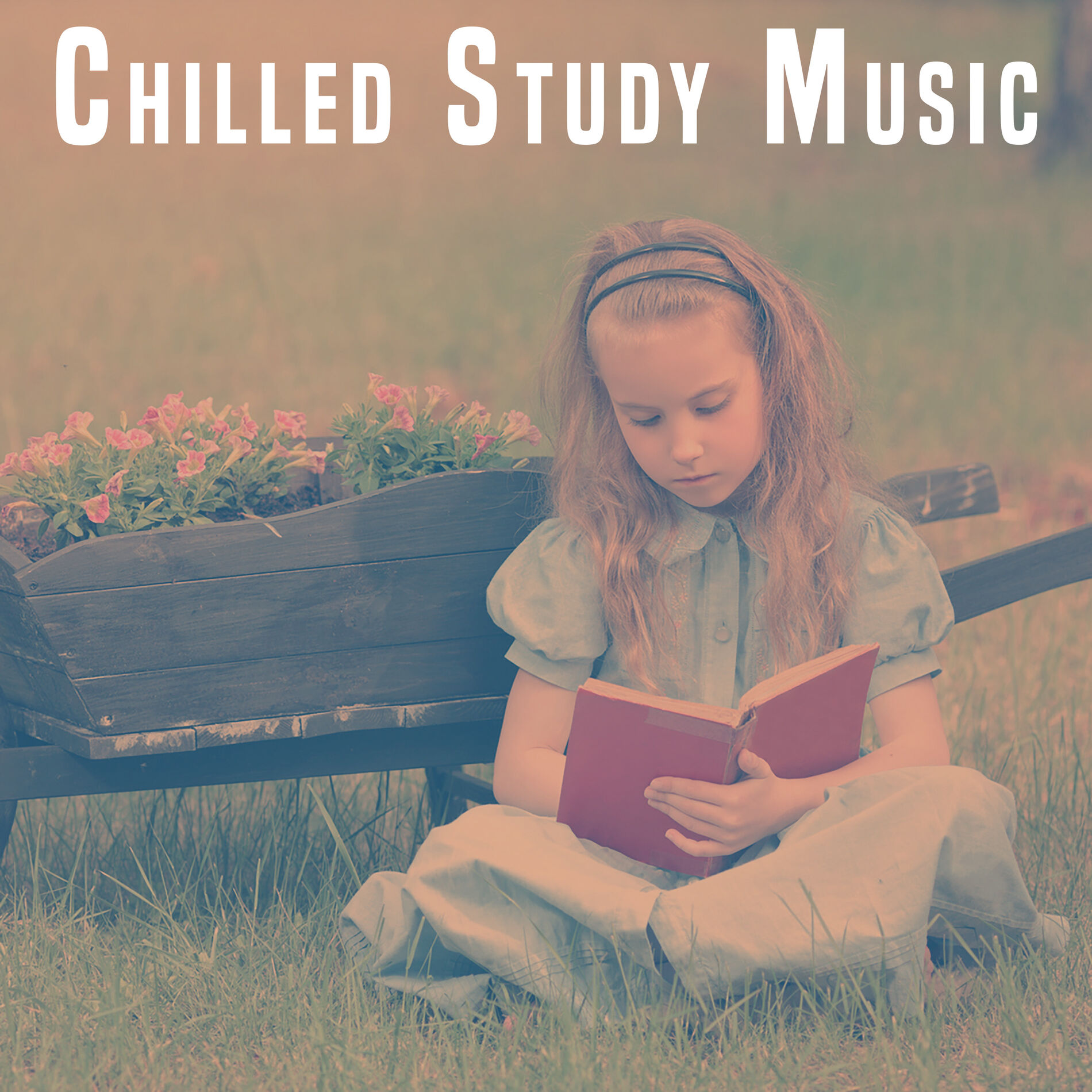 Album cover of Chilled Study Music