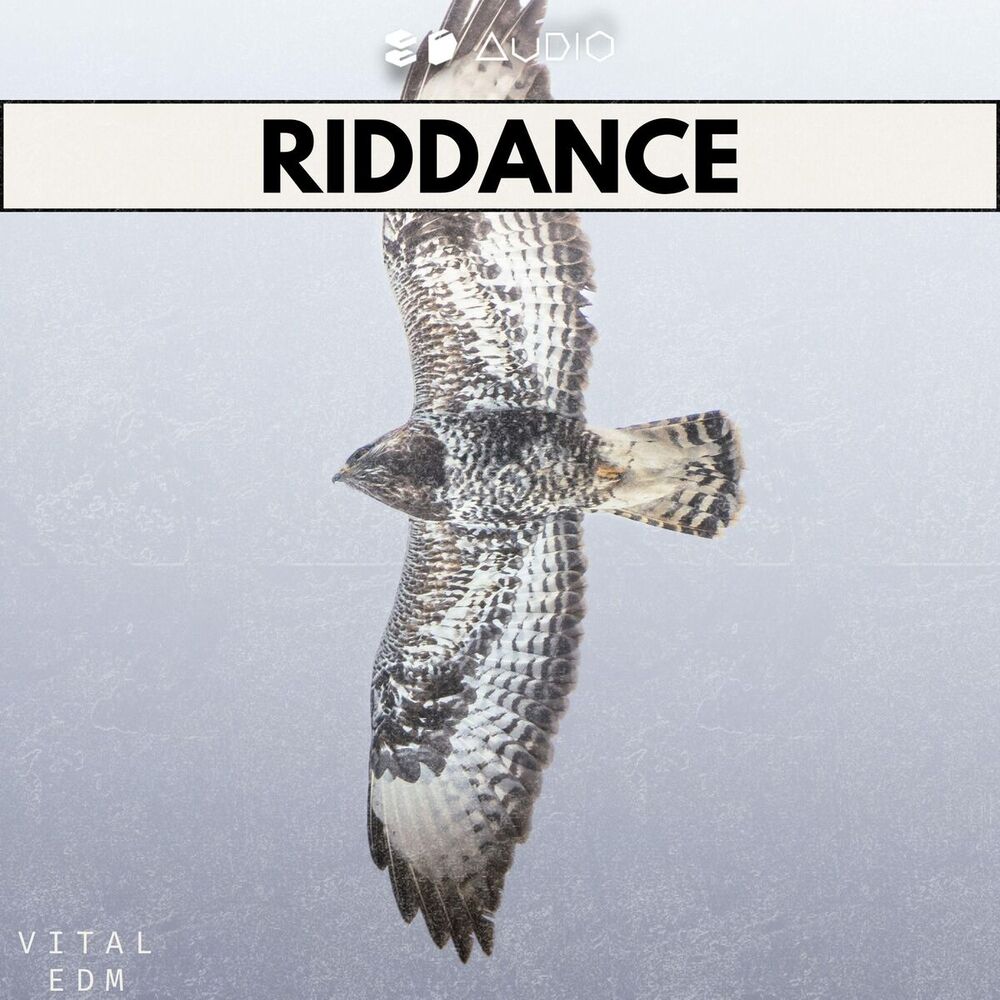 Picture of Riddance