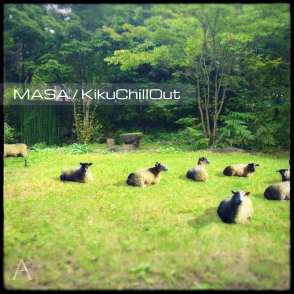 Picture of Kikuchill Out