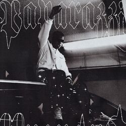 Cover of Paparazzi