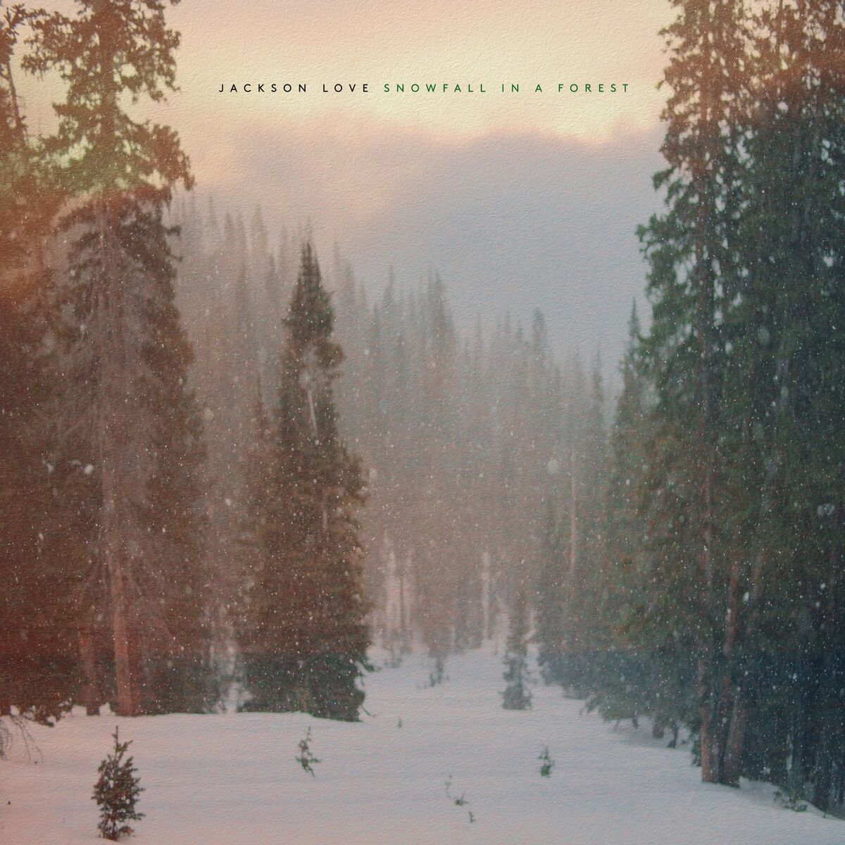 Album cover of Snowfall in a Forest