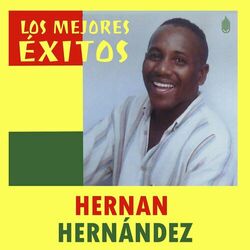 Cover of Los Mejores Éxitos