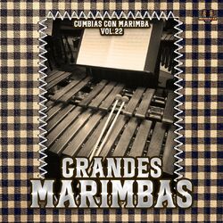 Cover of Cumbias Con Marimba Vol. 22