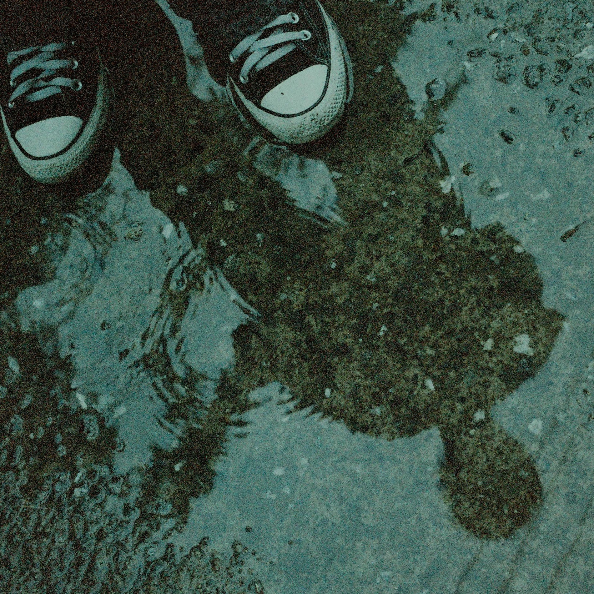 Album cover of Monsoon