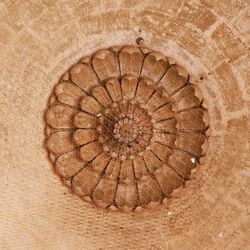 Cover of Panselute