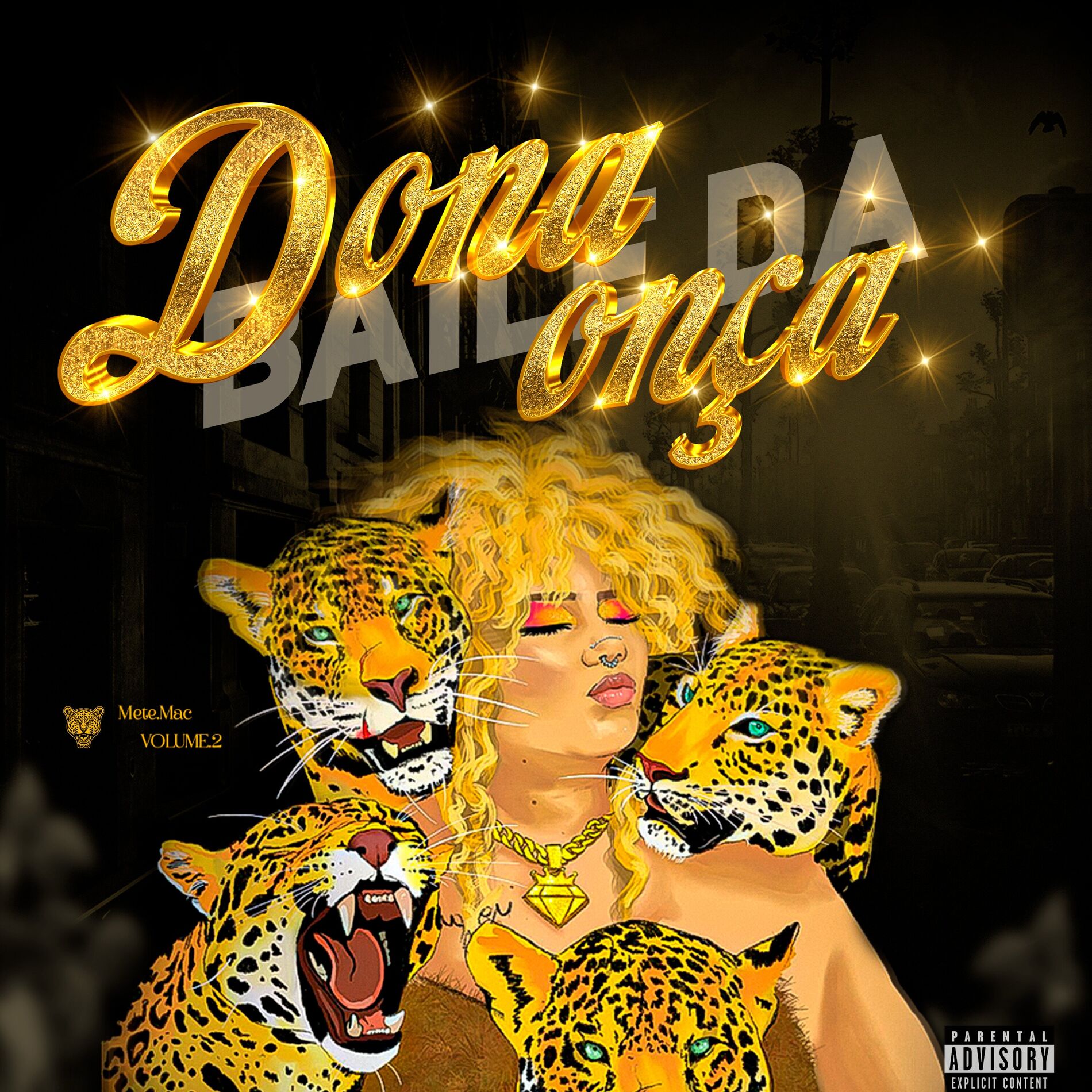 Album cover of Papo de Arrependida