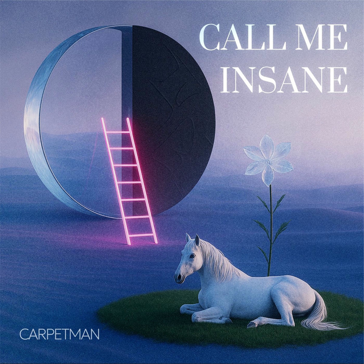 Album cover of Call Me Insane