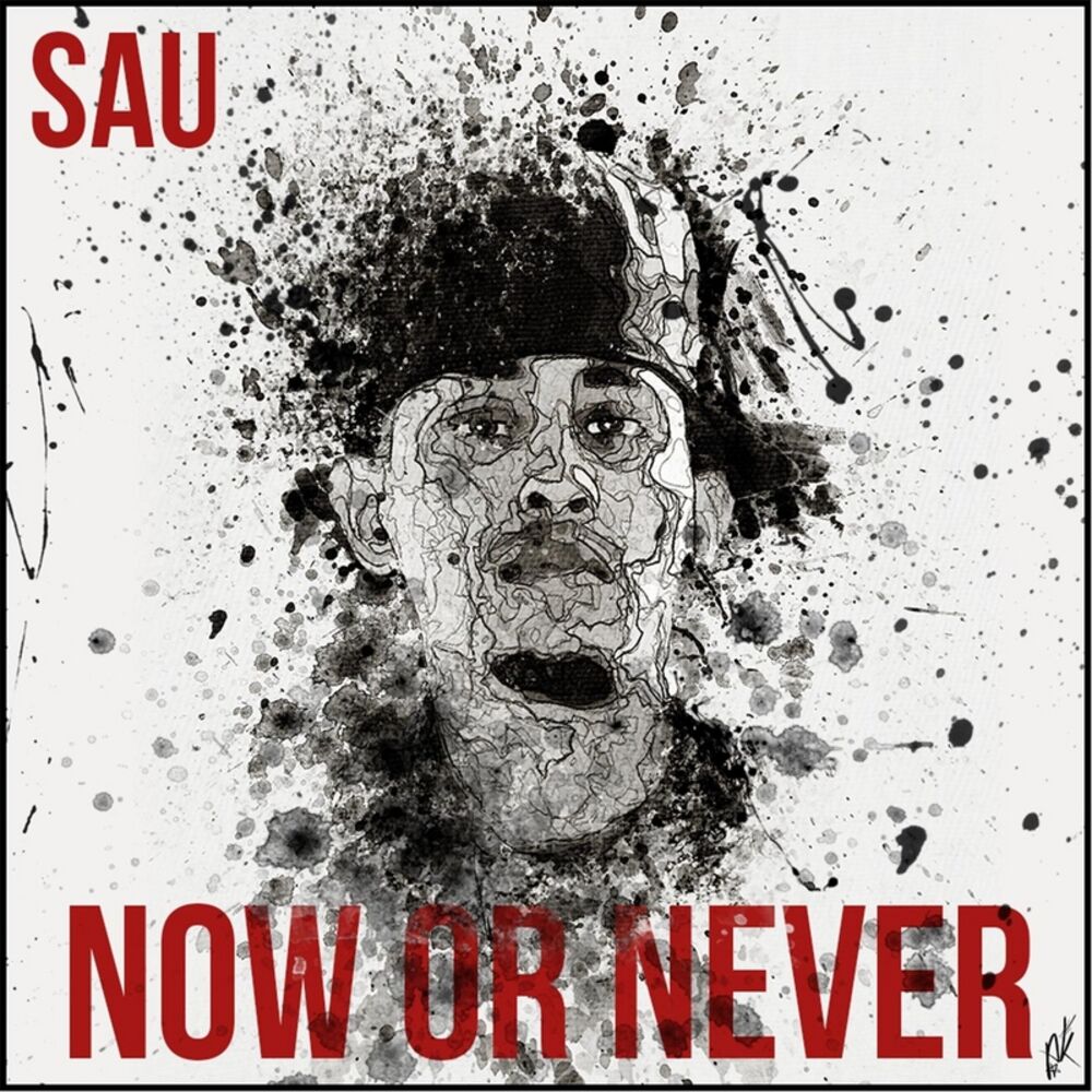 Picture of Now or Never