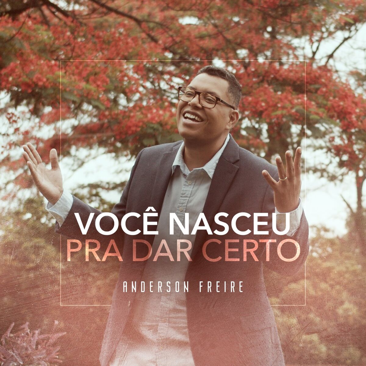 Album cover of Você Nasceu Pra Dar Certo