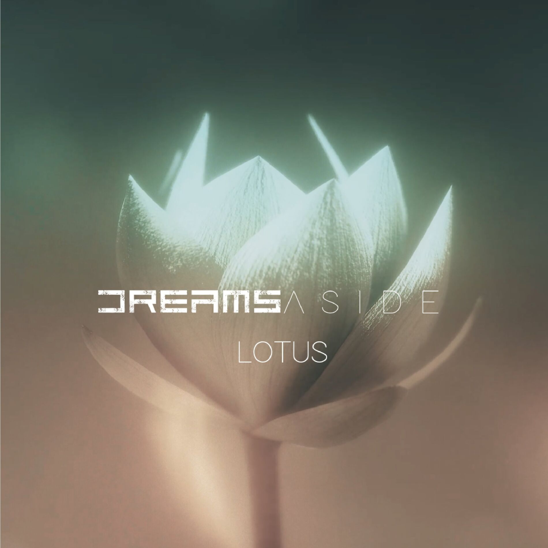 Album cover of Lotus
