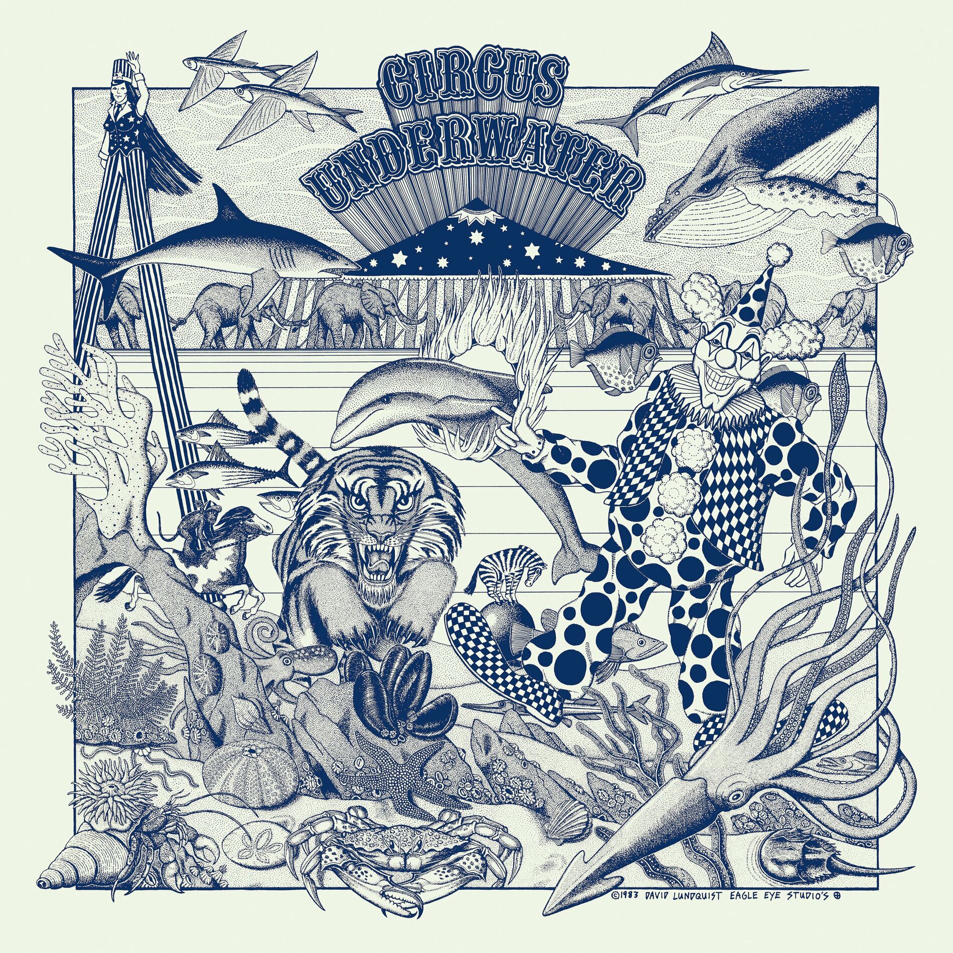 Album cover of Big Buck Meets The Perpendicular Fish