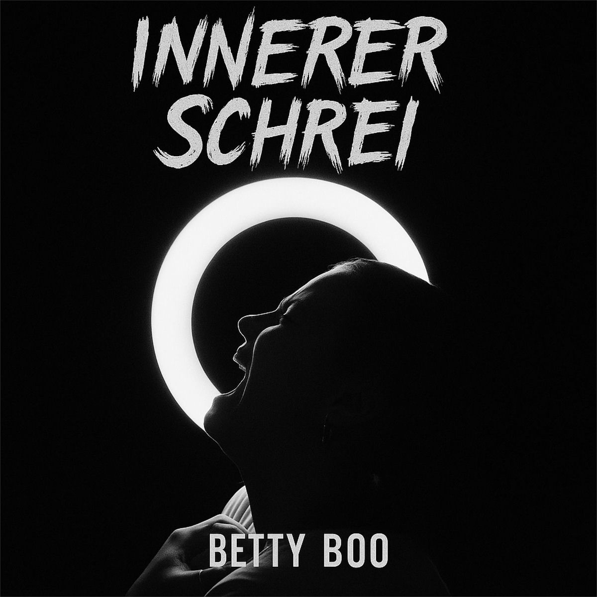 Album cover of Innerer Schrei