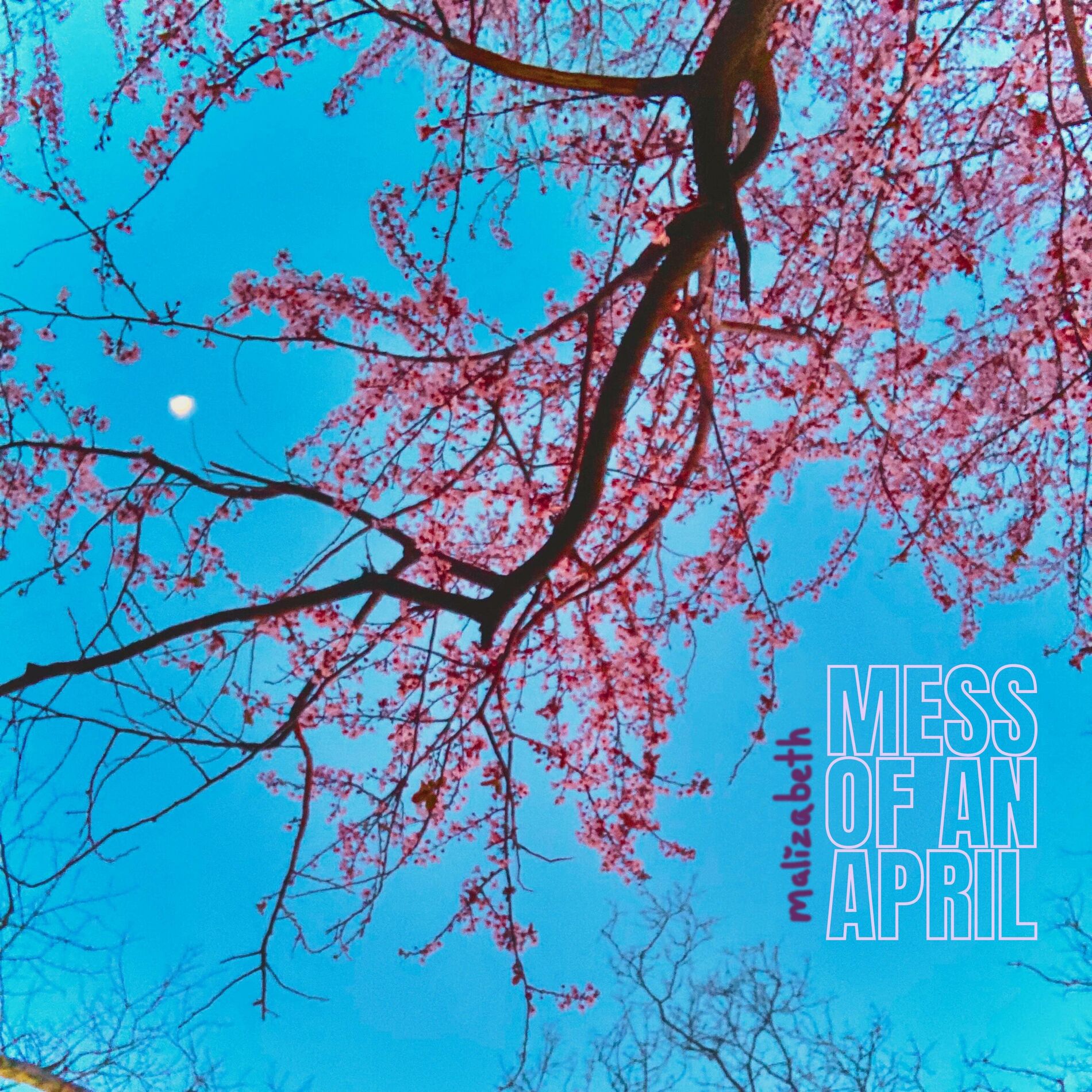 Album cover of mess of an april