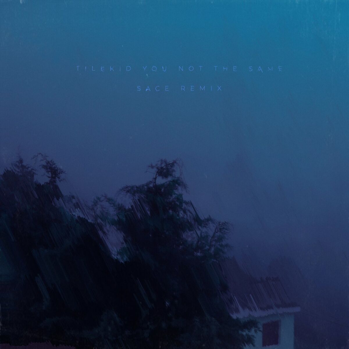 Album cover of you not the same (Sace Remix)