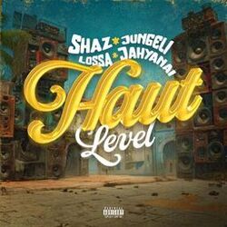 music cover