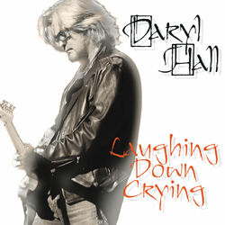 Cover of Laughing Down Crying