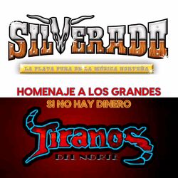 Cover of Homenaje A Los Grandes: Si No Hay Dinero
