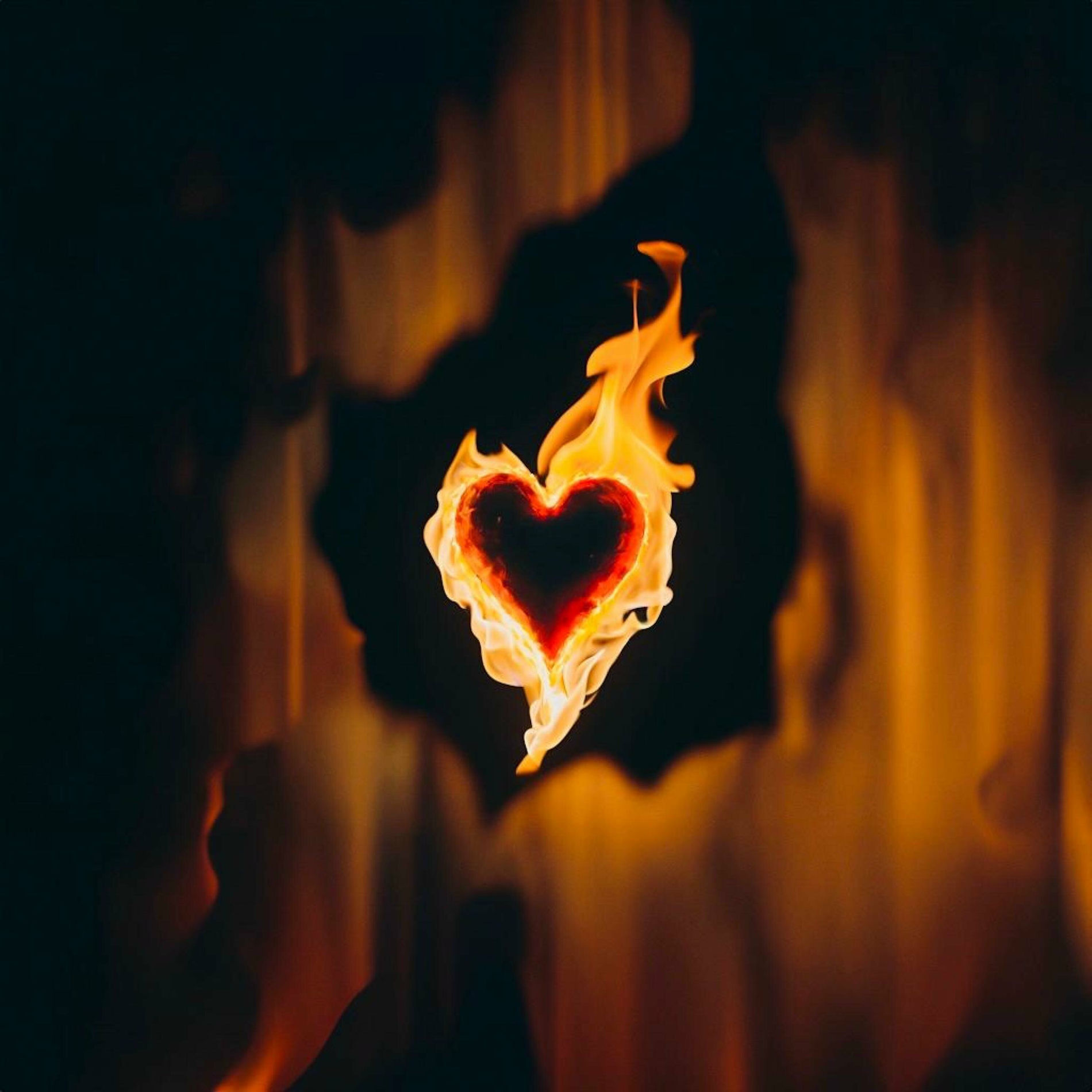Album cover of Blazing Heart