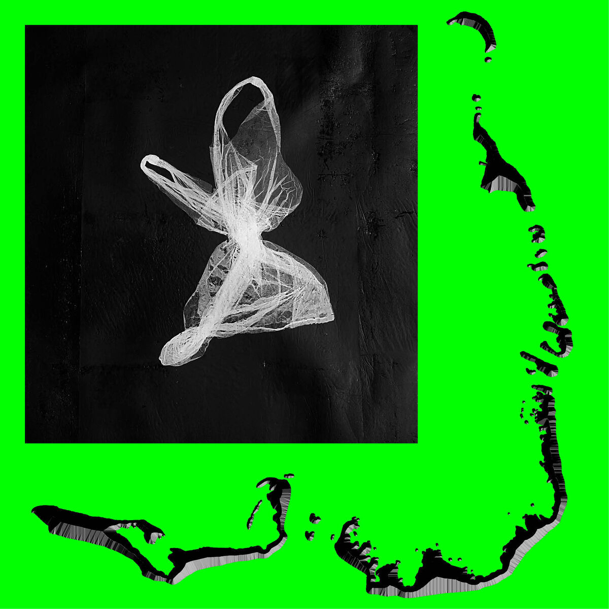 Album cover of Fool