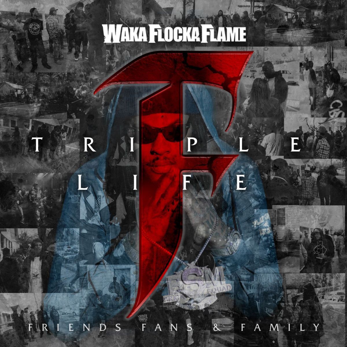 Album cover of Triple F Life: Friends, Fans & Family