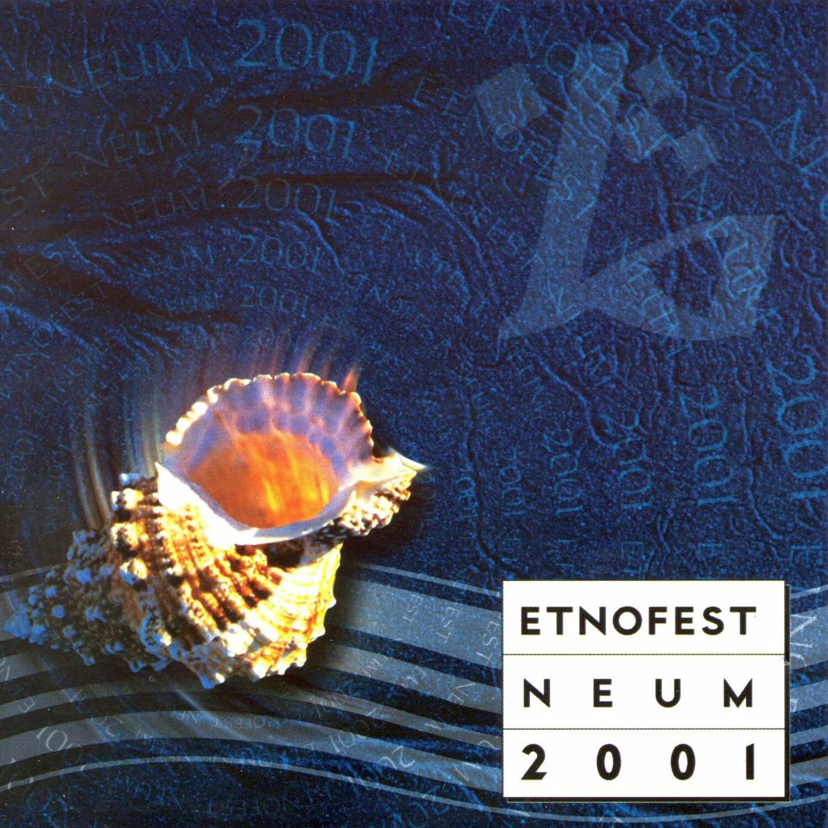 Album cover of Neum 2001.