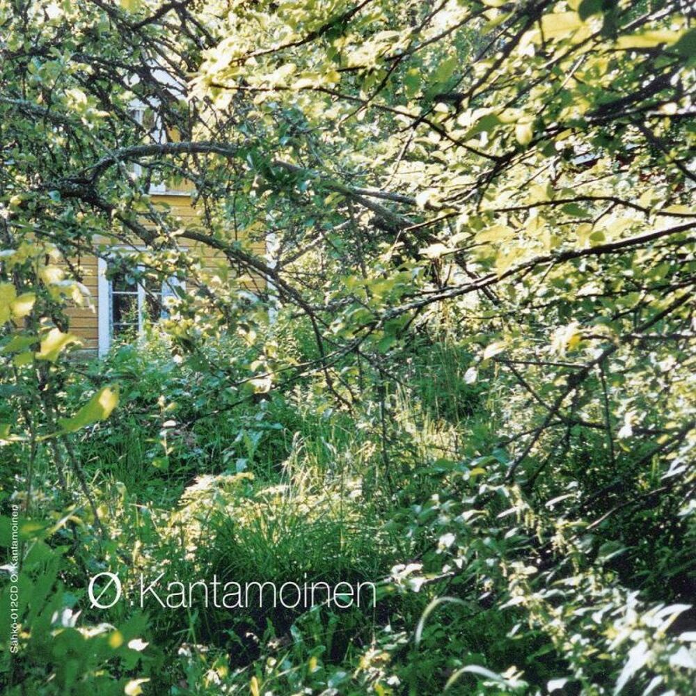 Picture of Kantamoinen