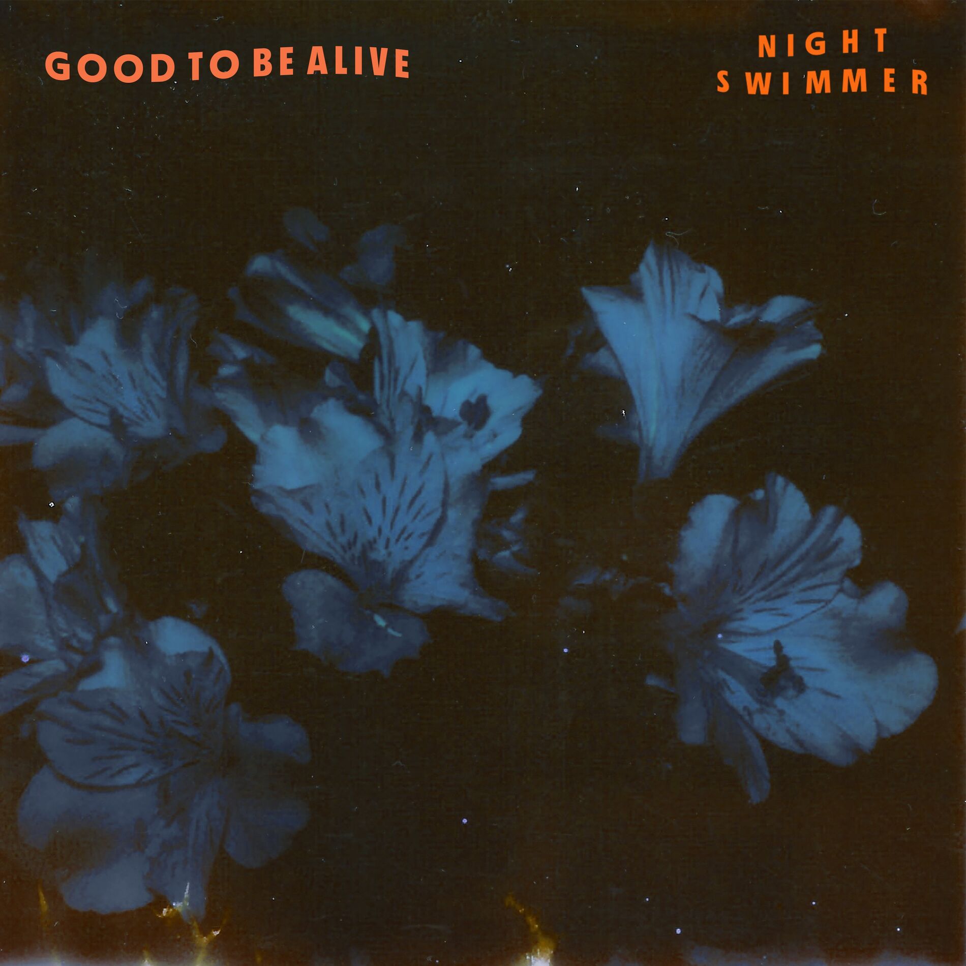 Album cover of Good to Be Alive