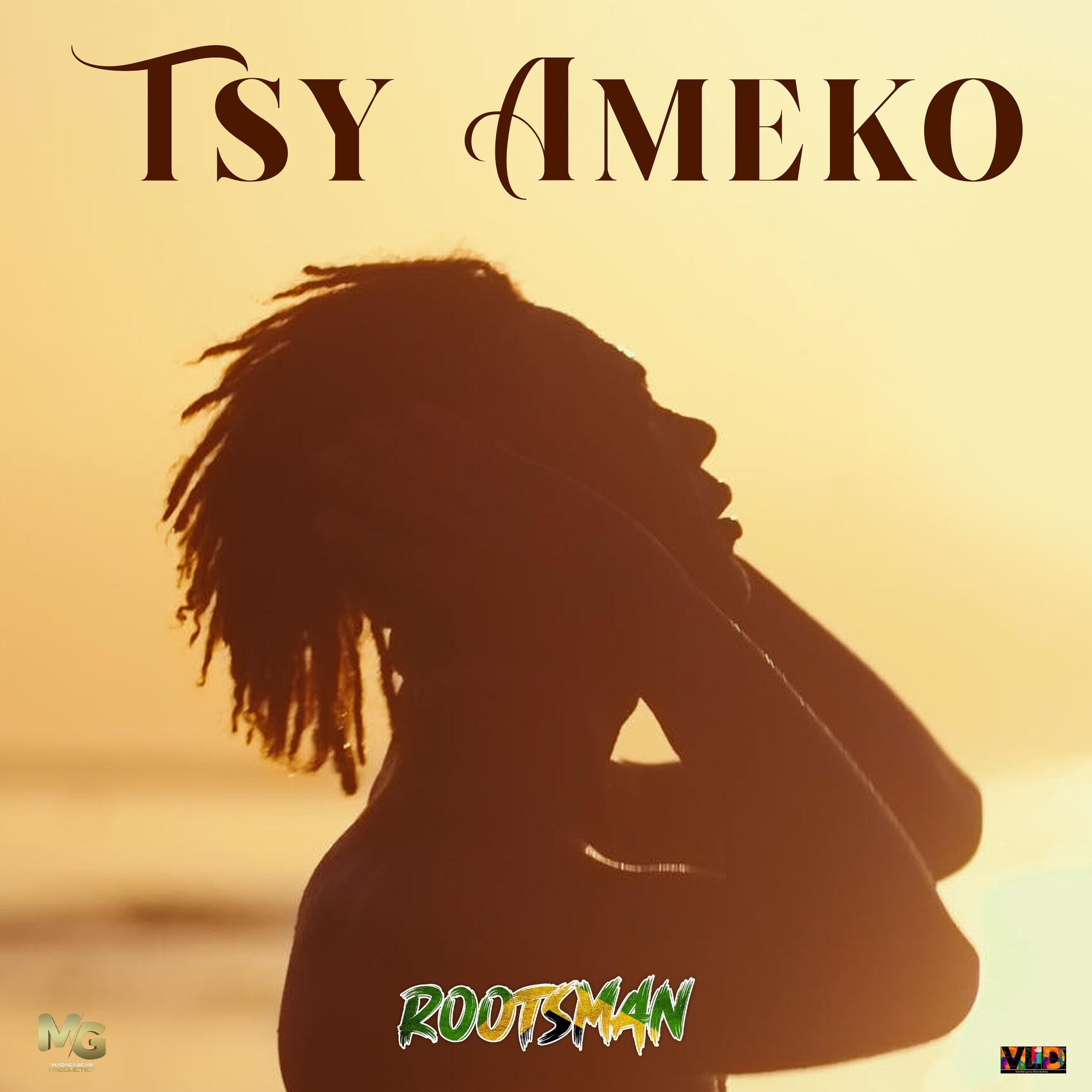 Album cover of Tsy Ameko