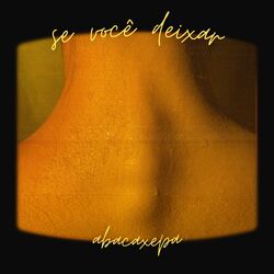 Cover of Se Você Deixar