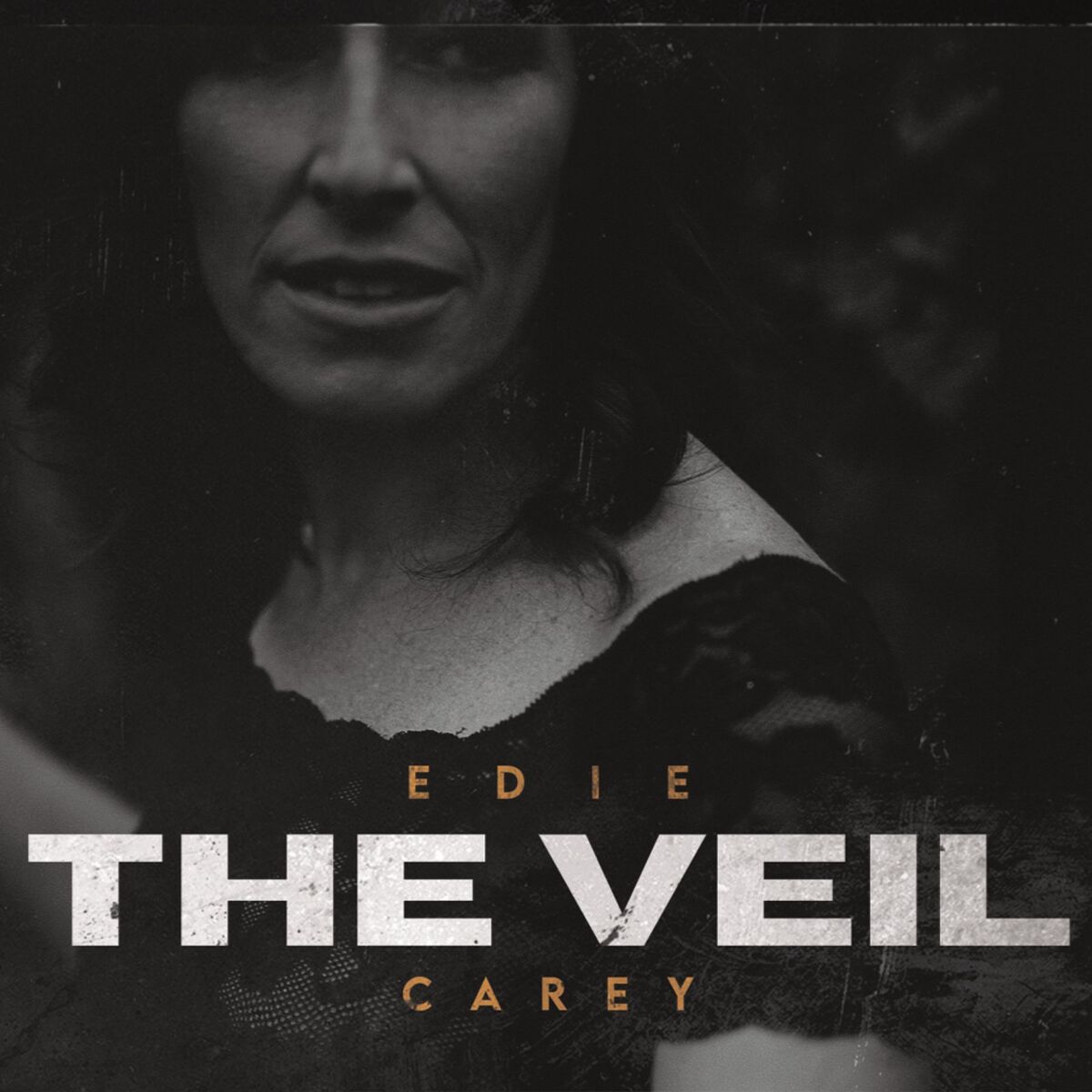Album cover of The Veil