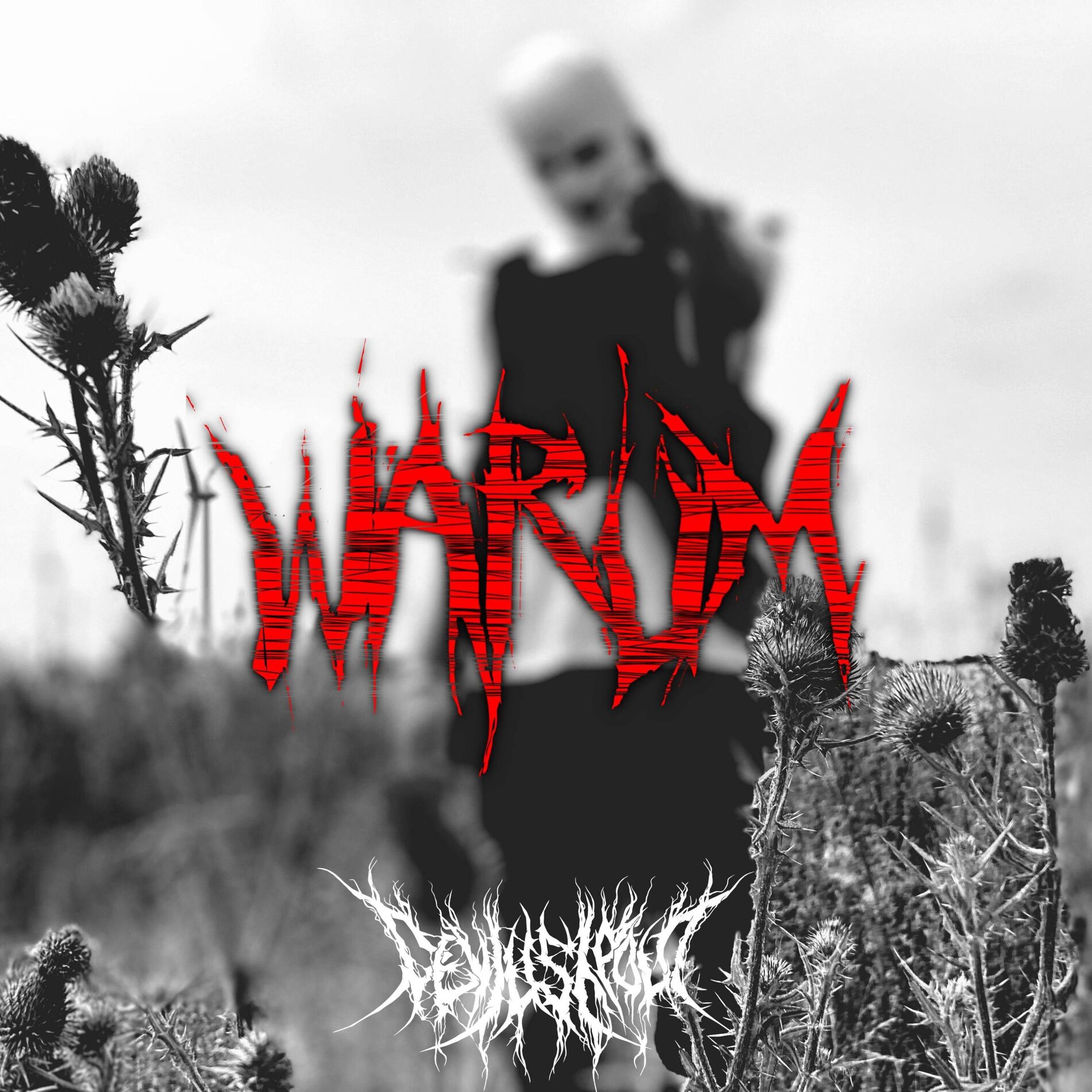 Album cover of Warum