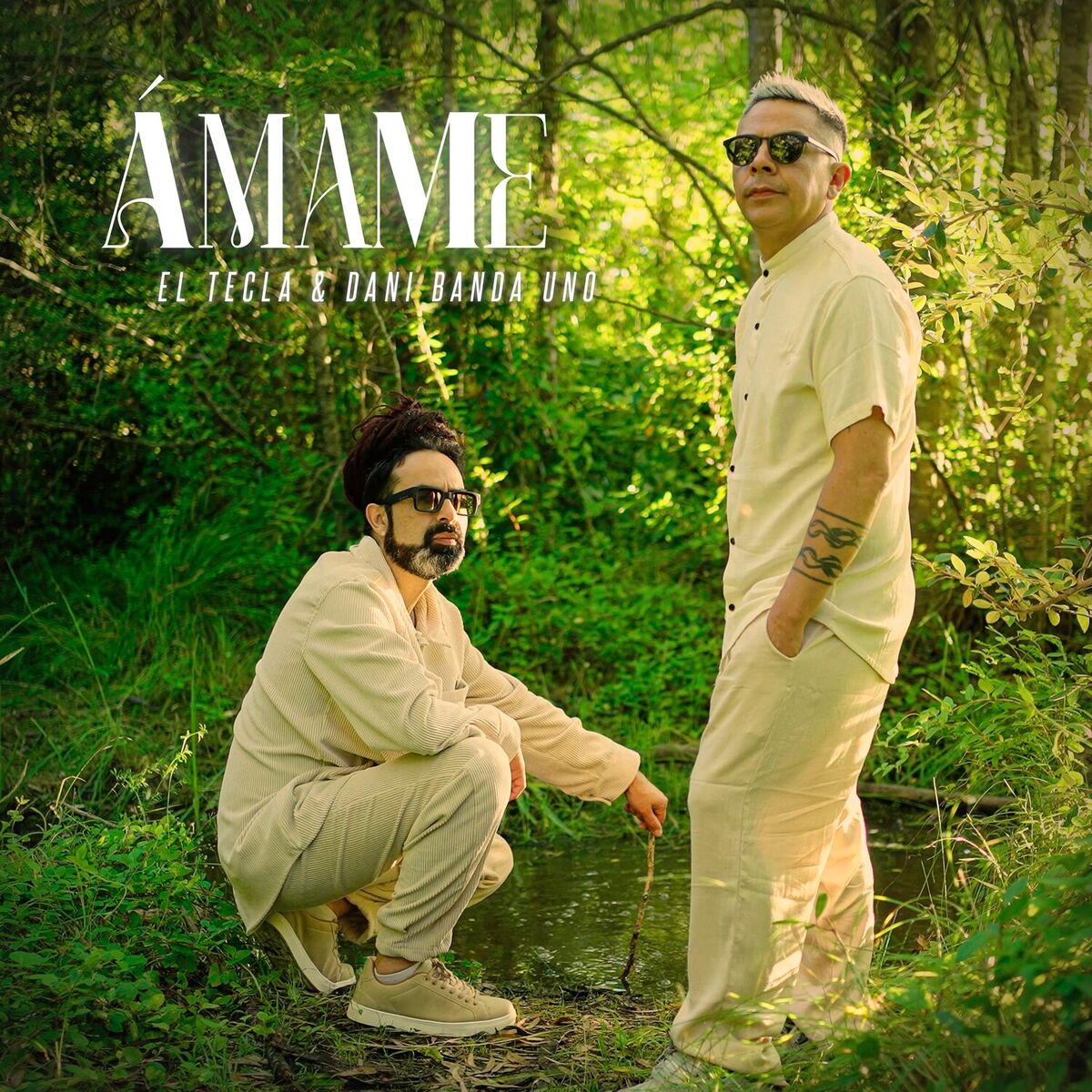 Album cover of Amame