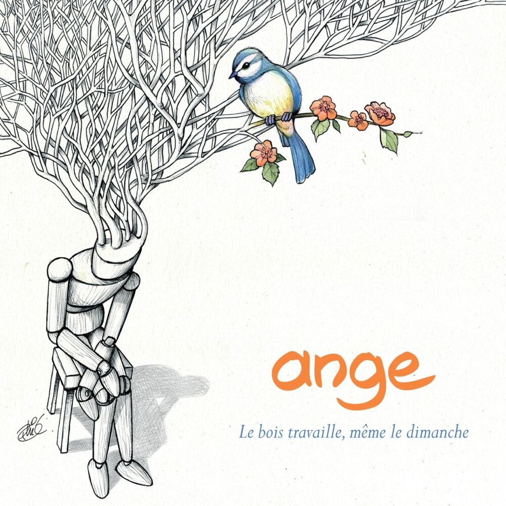 Picture of Le bois travaille, même le dimanche
