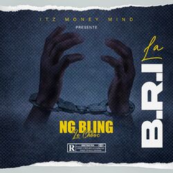 Cover of La B.R.I