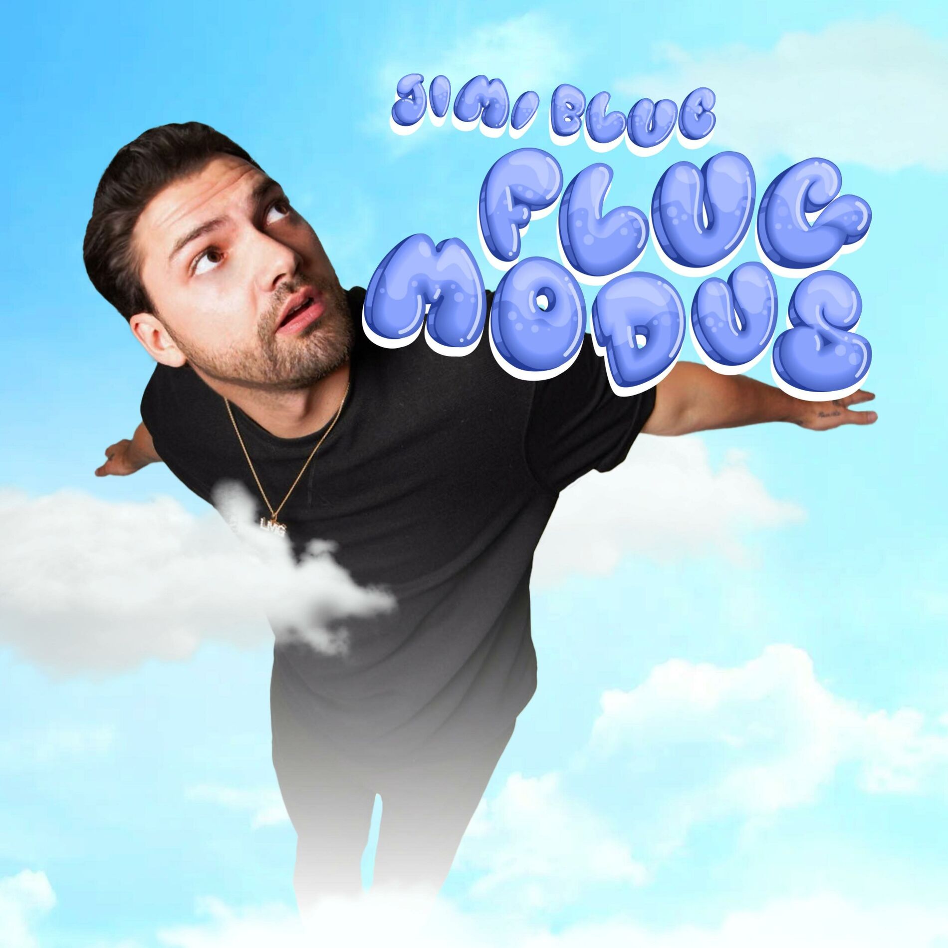 Album cover of Flugmodus