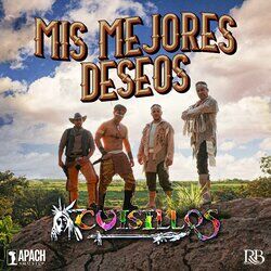 Cover of Mis Mejores Deseos