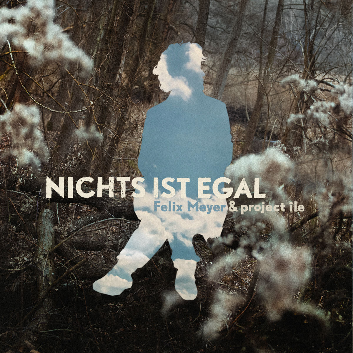 Album cover of Nichts ist egal