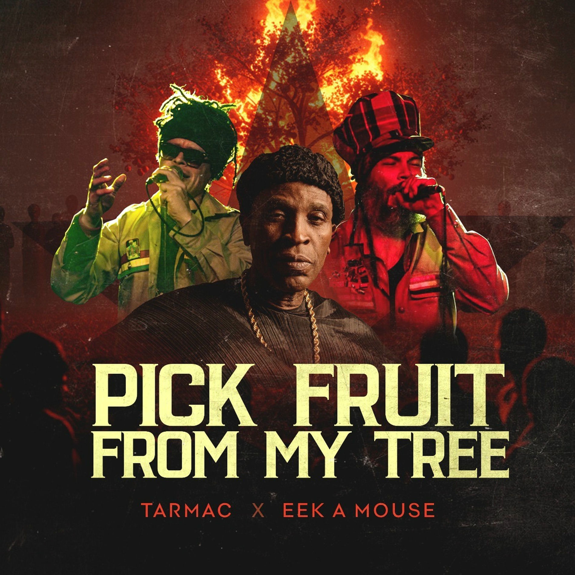 Album cover of Pick Fruit From My Tree