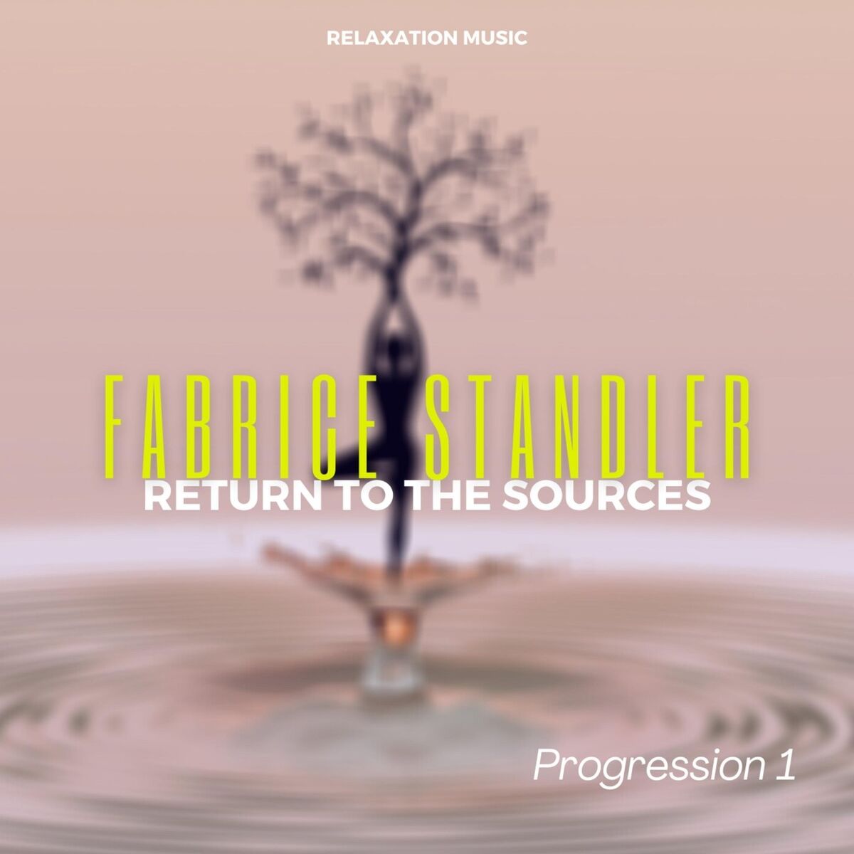 Album cover of Return to the Sources: Progression 1