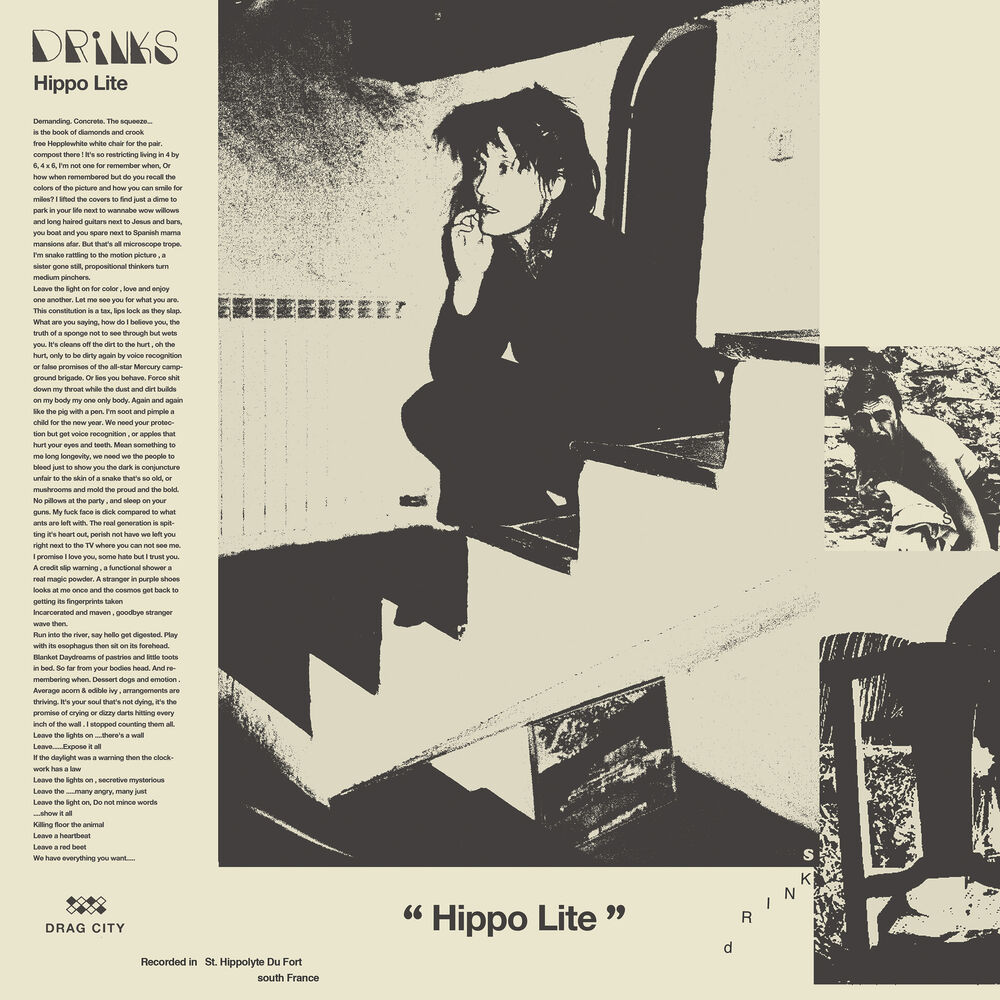 Picture of Hippo Lite