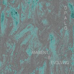 Cover of Ambient & Evolving