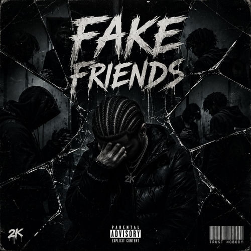 FAKE FRIENDS