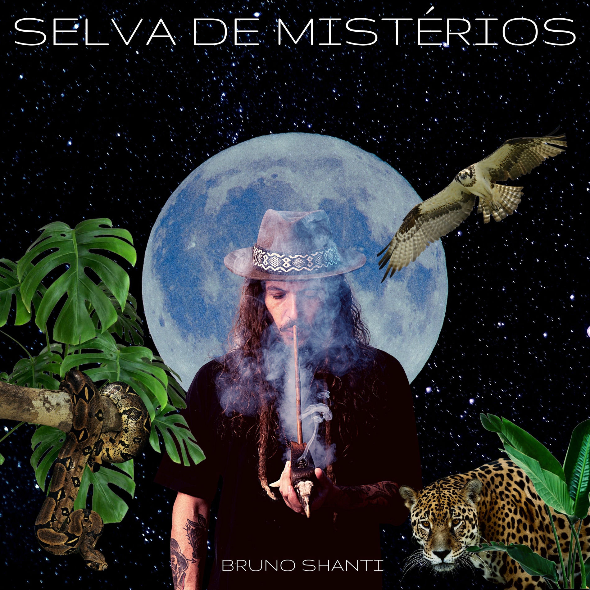 Album cover of Selva de Mistérios