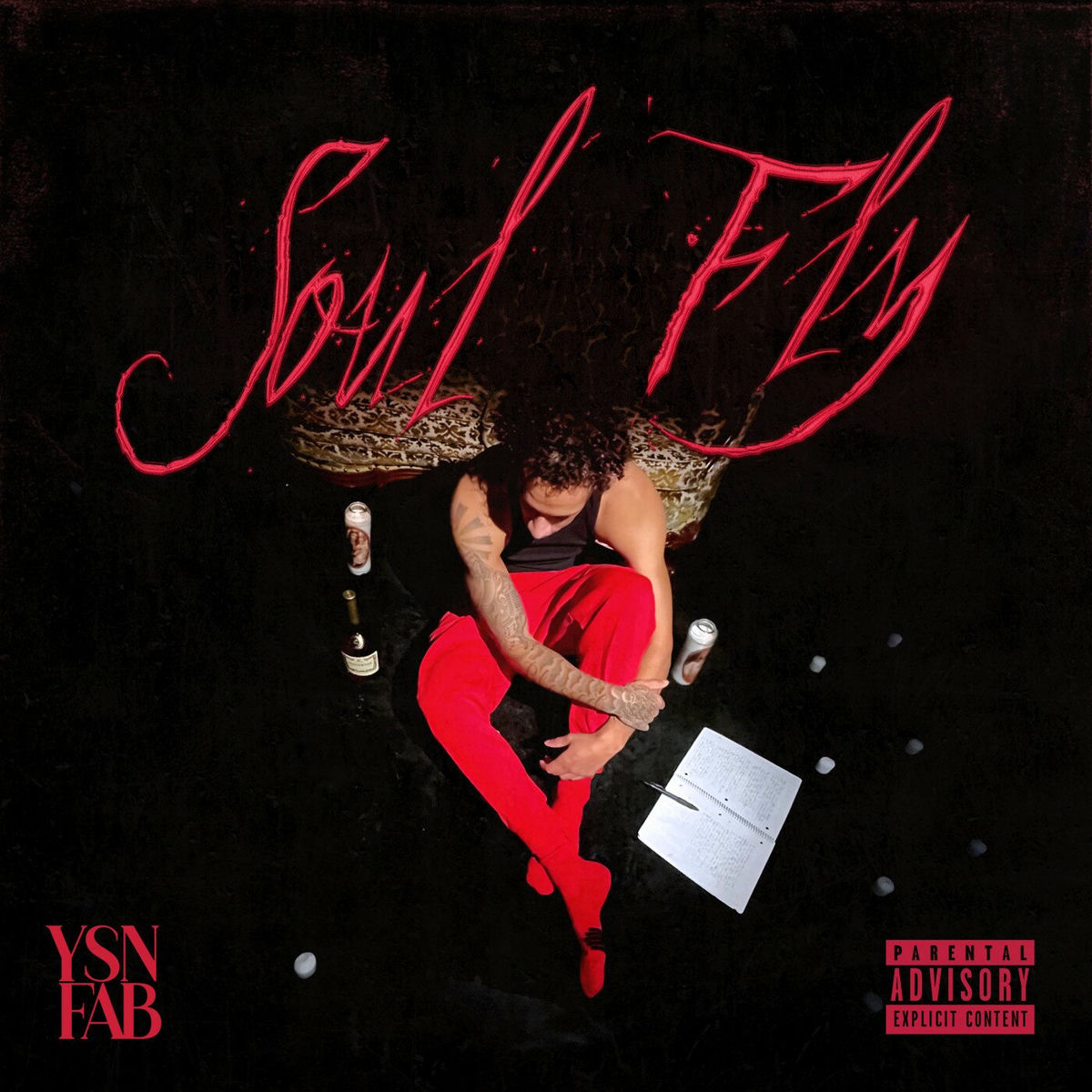 Album cover of Soul Fly
