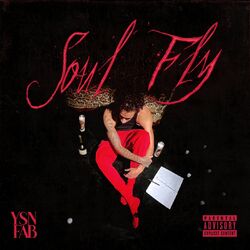 Cover of Soul Fly
